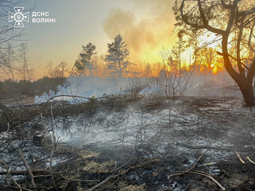 На Волині спіймали на гарячому палійку сухостою