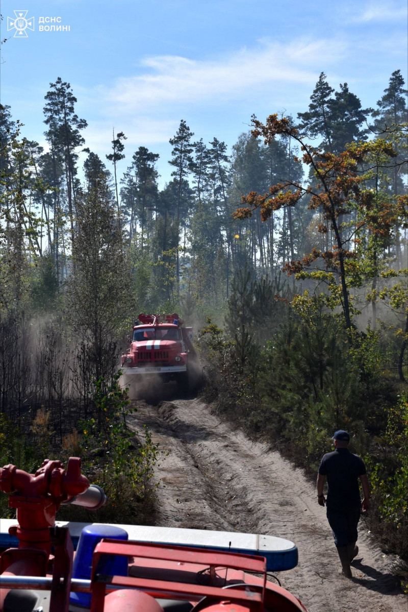 У Луцькому районі триває лісова пожежа: ліквідовано 7 га, залишилося 18 га