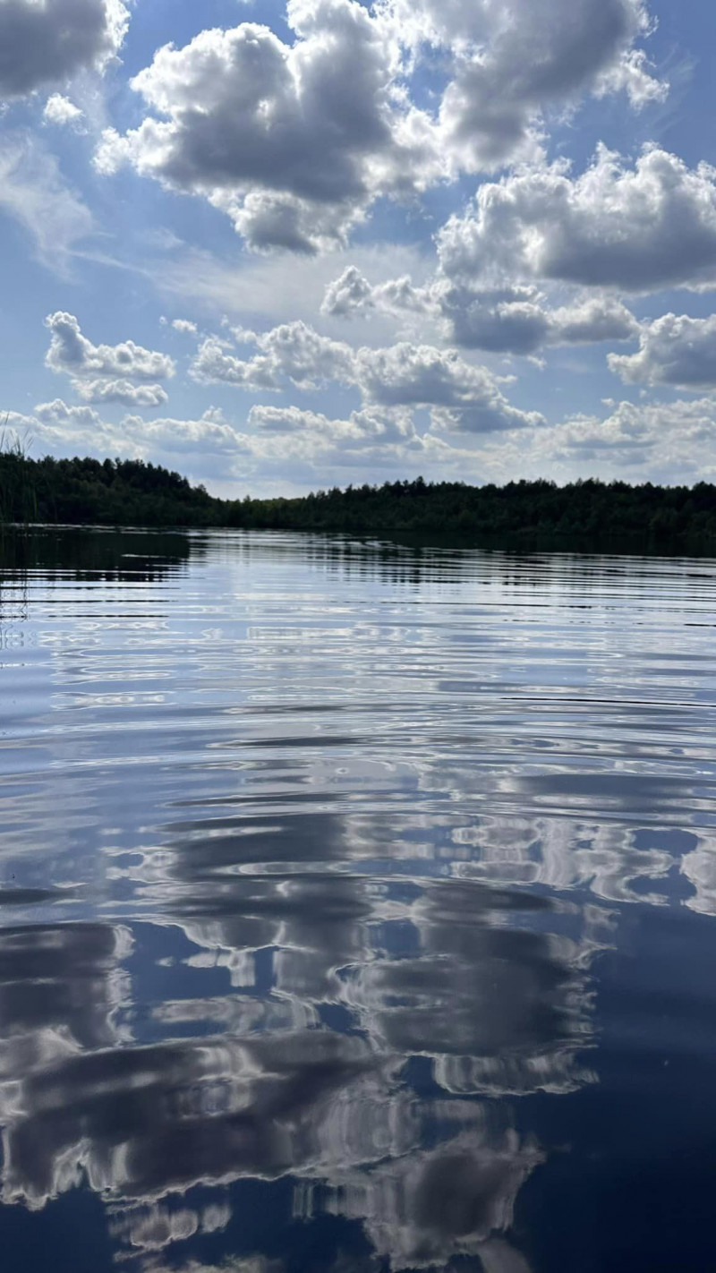 Наявні чисельні місця відпочинку: показали волинське озеро посеред лісу