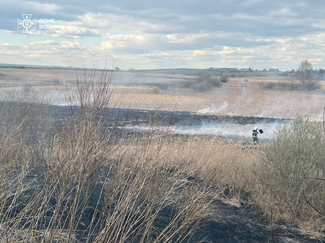 На Волині вигоріло понад 5 гектарів території: рятувальники ліквідували 4 пожежі