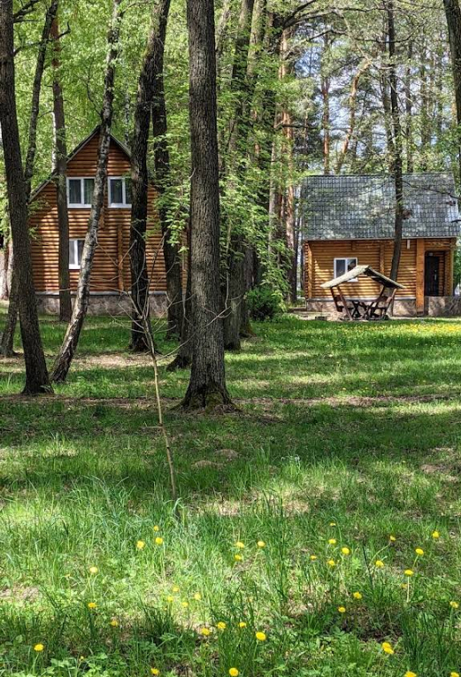 Скільки коштує відпочинок на Шацьких озерах у 2025 році: ціни, житло, харчування та поради