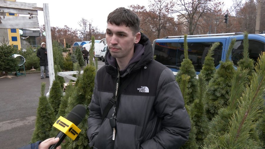 У Луцьку вже можна купити ялинку. Скільки коштують хвойні дерева до свят