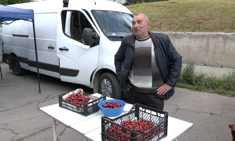 Від саду - до прилавка: як вирощують і продають черешню на Волині