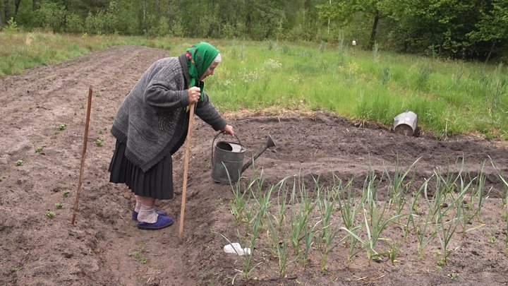 Історія довгожительки, яка сама живе на хуторі: 91-річна волинянка садить город і носить воду з криниці