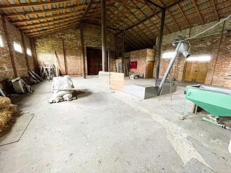 Його потужність - 15 тонн на добу: на Волині виставили на продаж млин