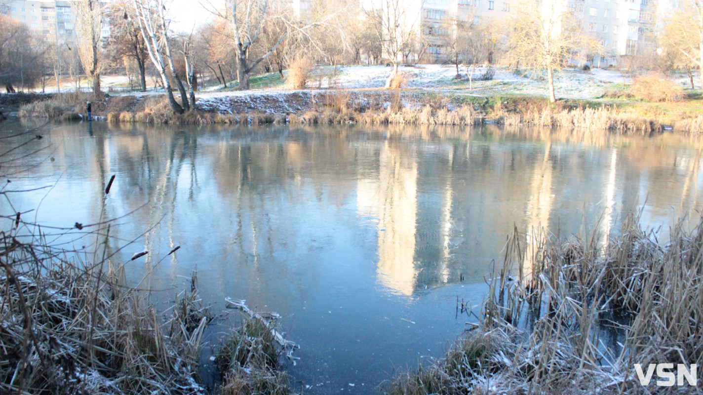 Засніжений Луцьк: як виглядають парки та двори міста взимку напередодні Нового 2026 року. Фоторепортаж