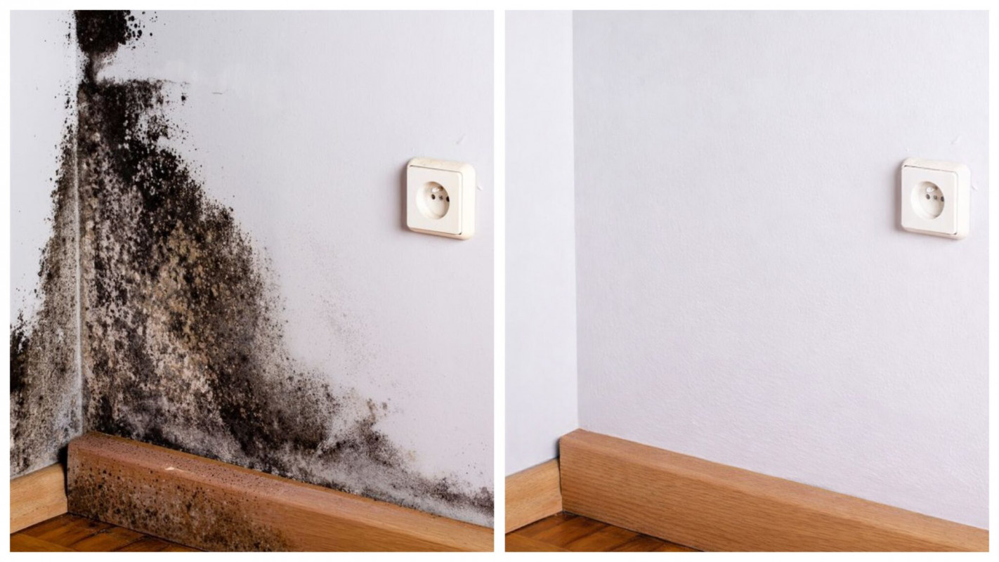 Як за 10 хвилин без хімії позбутися плісняви на стінах