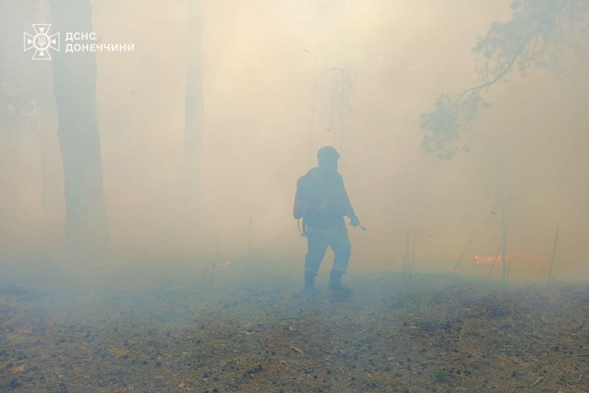 Незважаючи на обстріл: волинські рятувальники 8 годин гасили ліс на Лиманщині