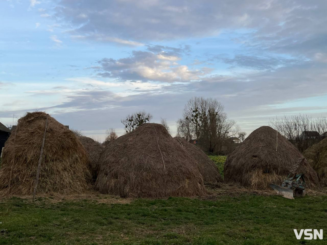 Заснували як місце покарання для людей: невідома історія села на Волині. Фоторепортаж