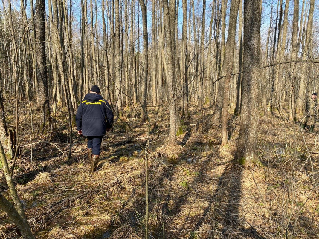 Обстежили лісосмуги та болота: на Волині десять днів поспіль тривають пошуки 17-річної дівчини, яка пішла в невідомому напрямку