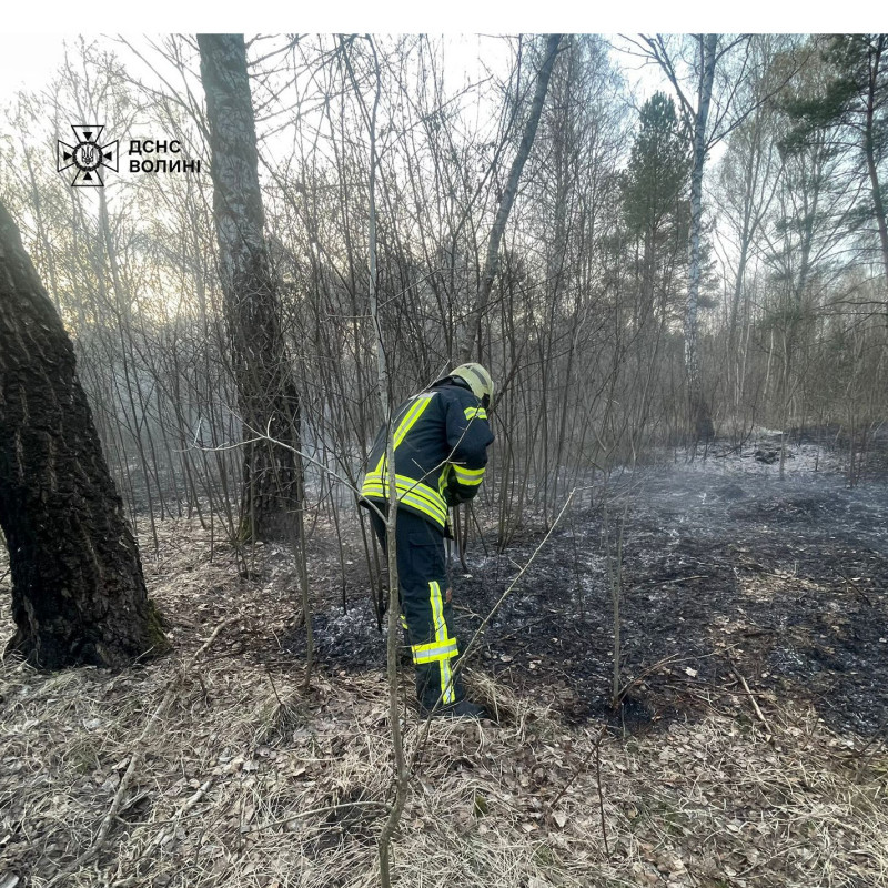Через підпали на Волині за добу вигоріло понад 12 гектарів сухостою