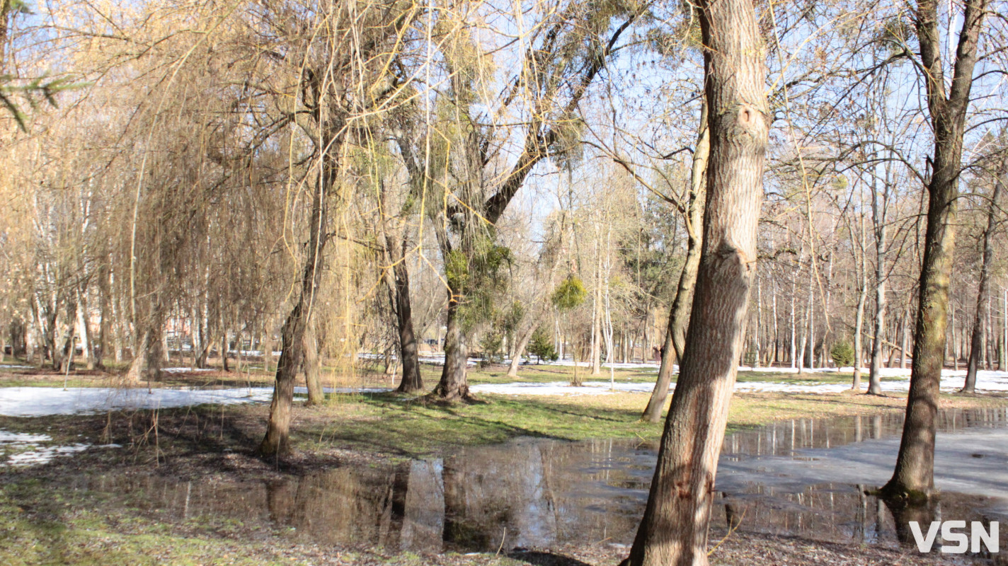 Весна у Луцьку: фоторепортаж із парку імені Лесі Українки