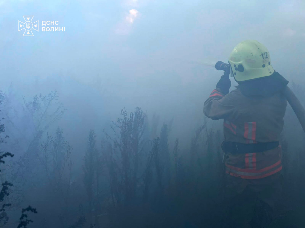 На Волині за добу вигоріло понад 2 гектари сухої трави та чагарників