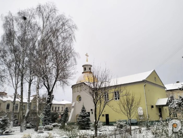 Природна аномалія: у Луцьку зацвіла сакура  