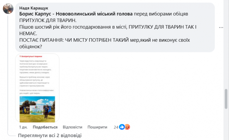 У  Нововолинську зграї безпритульних собак лякають дітей і батьків