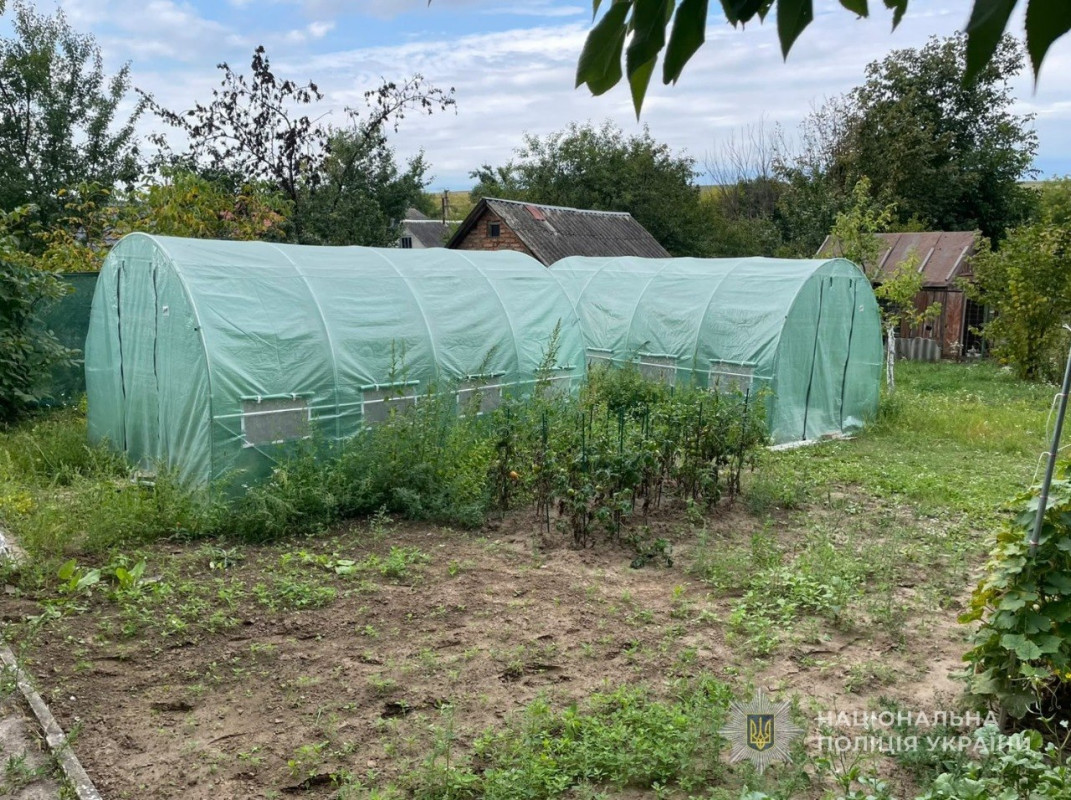 Дачний будинок перетворили на нарколабораторію: на Волині викрили чотирьох людей, які вирощували та збували канабіс