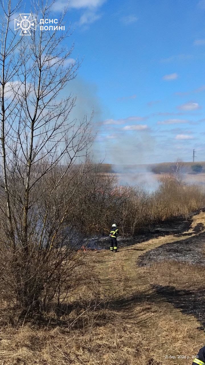 Масові пожежі на Волині: за добу вигоріли гектари сухостою в різних громадах