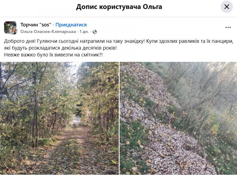 Скандал на Волині: серед лісу знайшли купу равликових панцирів