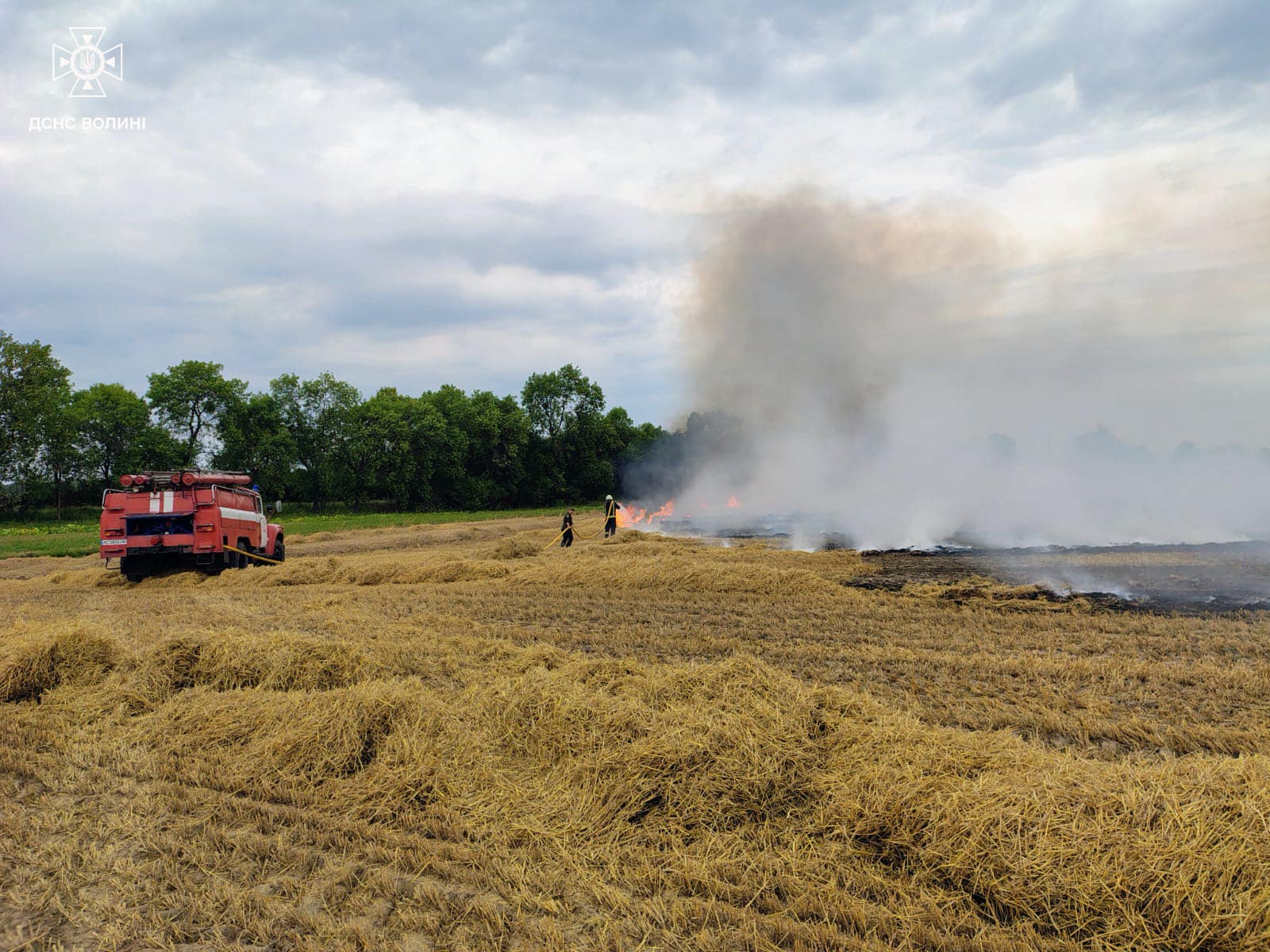 На Волині невідомі підпалили стерню: що відомо