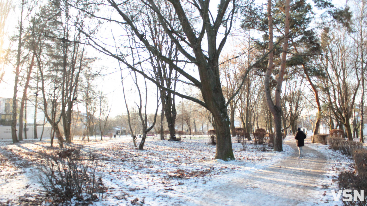 Засніжений Луцьк: як виглядають парки та двори міста взимку напередодні Нового 2026 року. Фоторепортаж