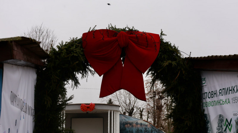 Туман і мжичка у грудні: волинське місто зустрічає зиму в осінньому настрої