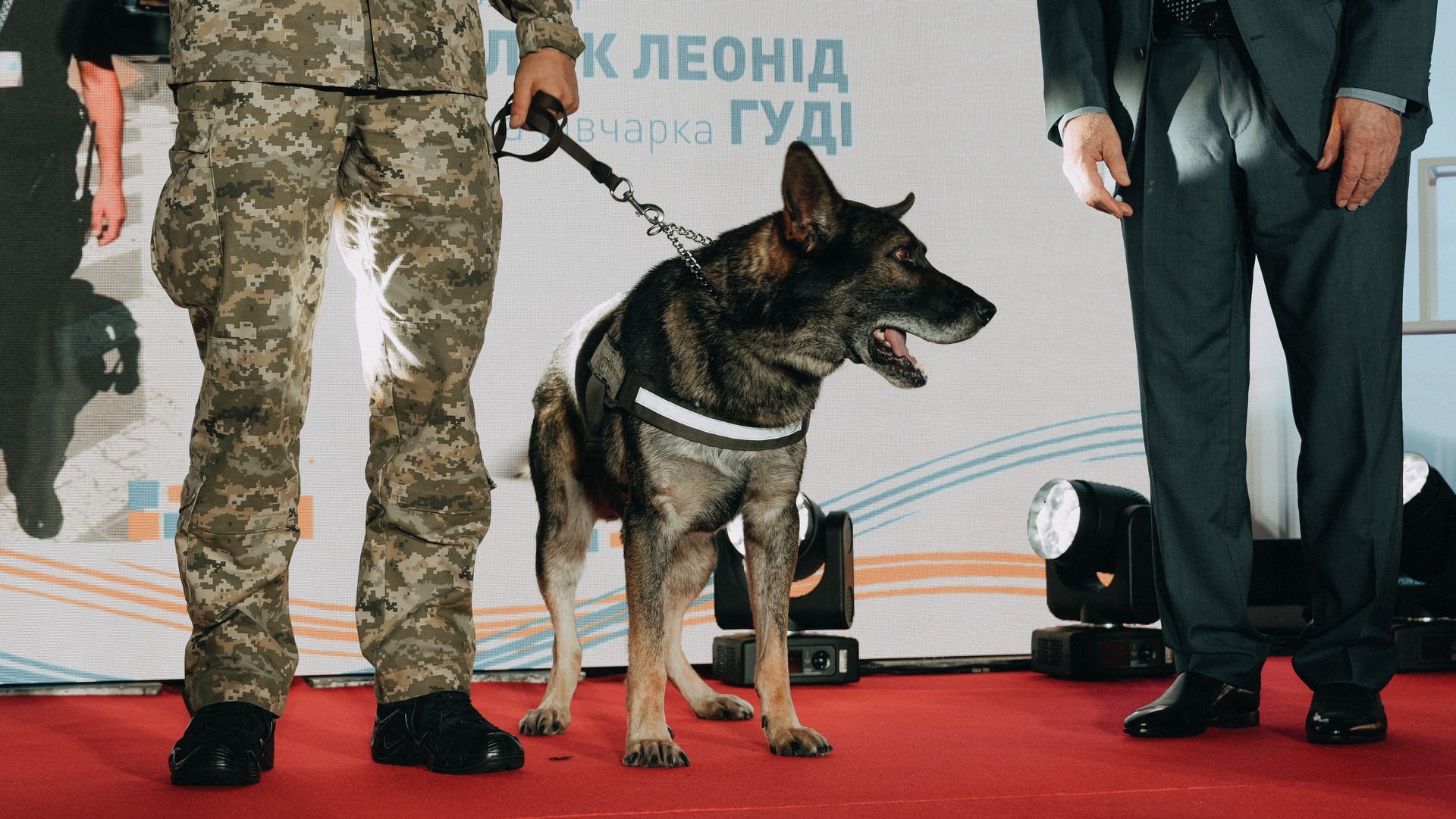 Коли напарник – більше ніж собака: прикордонник з Волині та його чотирилапа династія