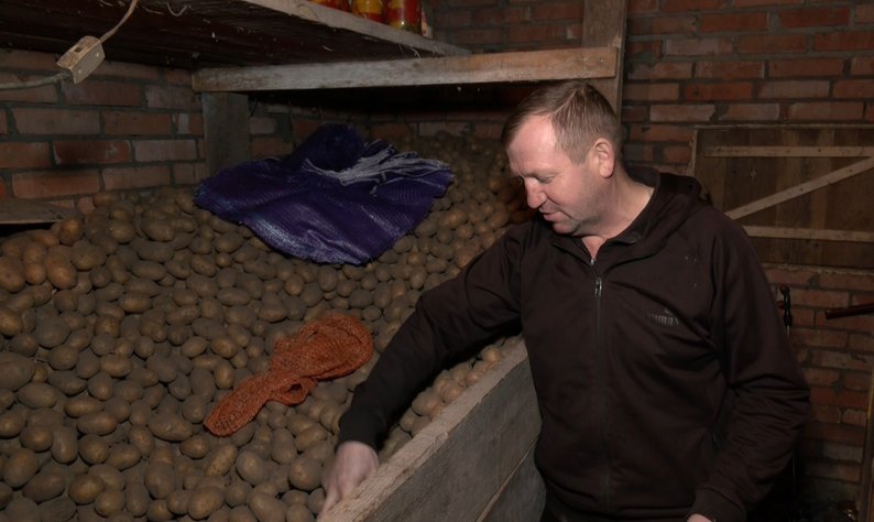 Як живе село на Волині, якому понад 400 років