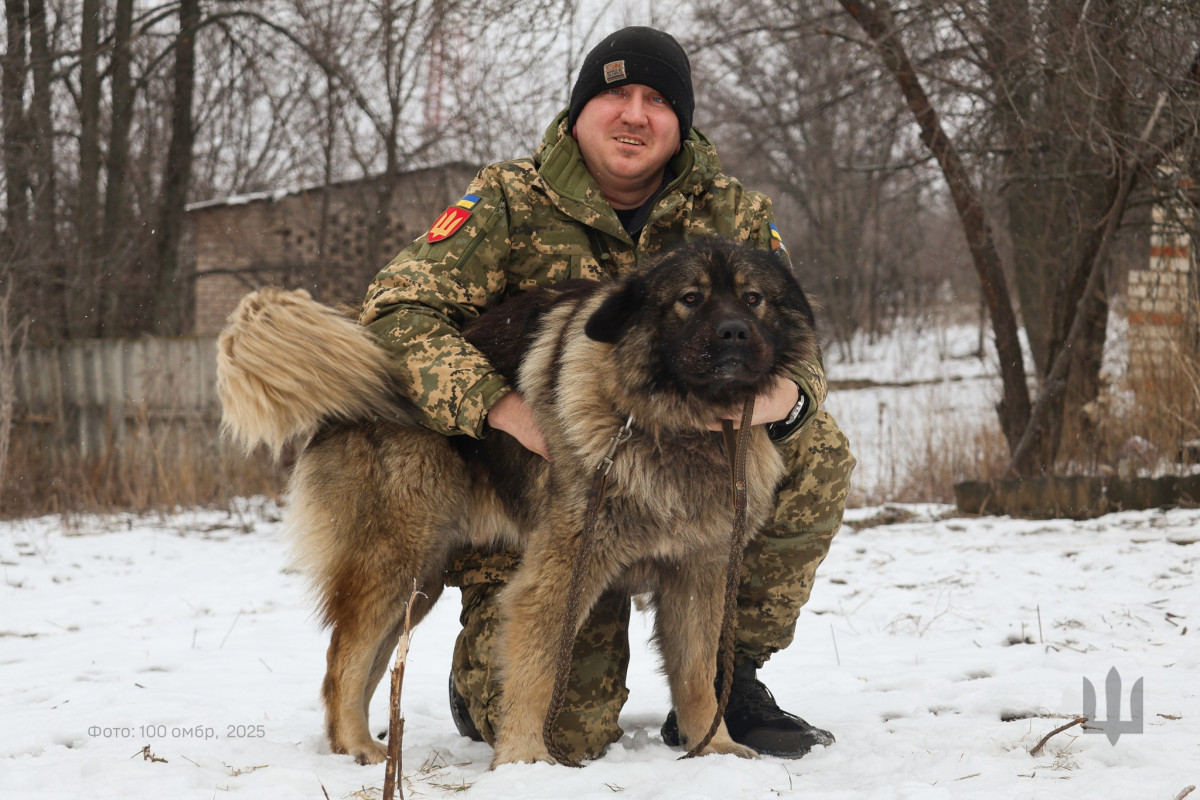 Ведмедик-антистрес на передовій: кавказька вівчарка стала надійною опорою для бійця волинської бригади