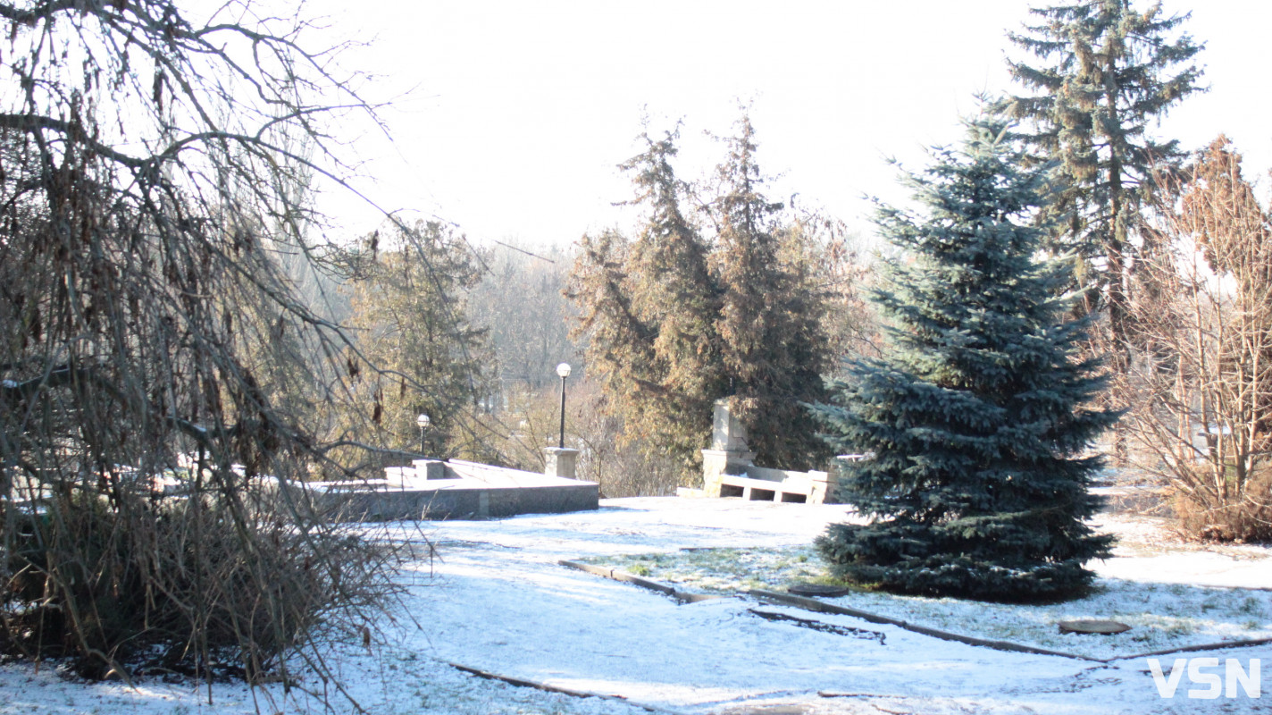 Засніжений Луцьк: як виглядають парки та двори міста взимку напередодні Нового 2026 року. Фоторепортаж