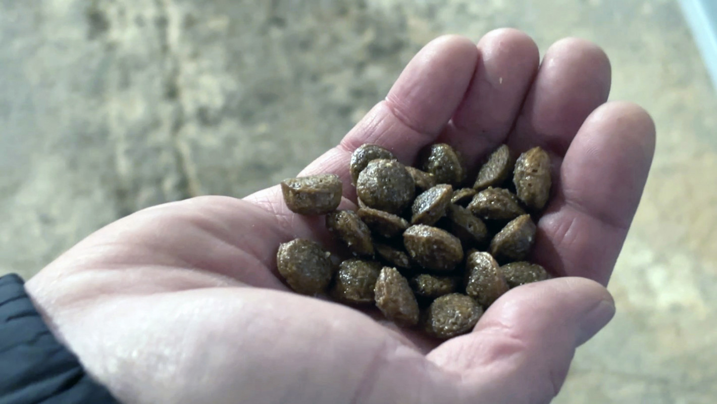 Ветеран із Волині отримав грант і відкрив виробництво кормів для тварин