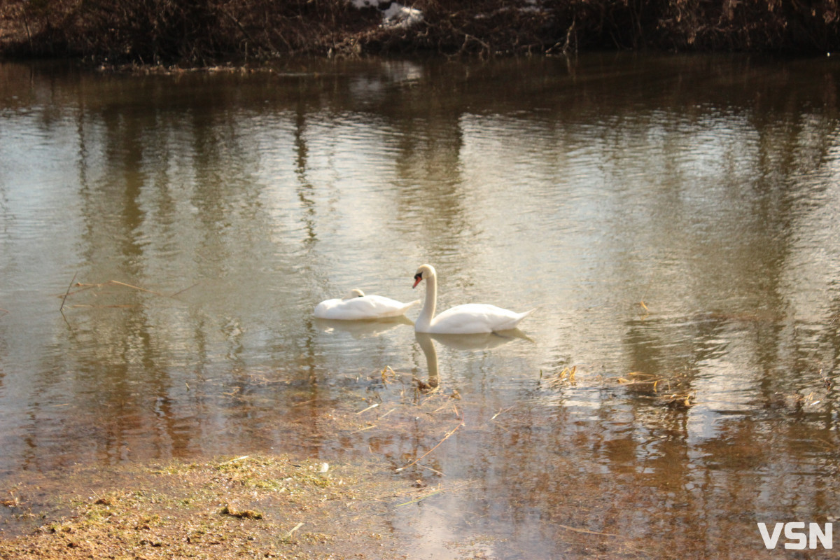 Весна у Луцьку: фоторепортаж із парку імені Лесі Українки
