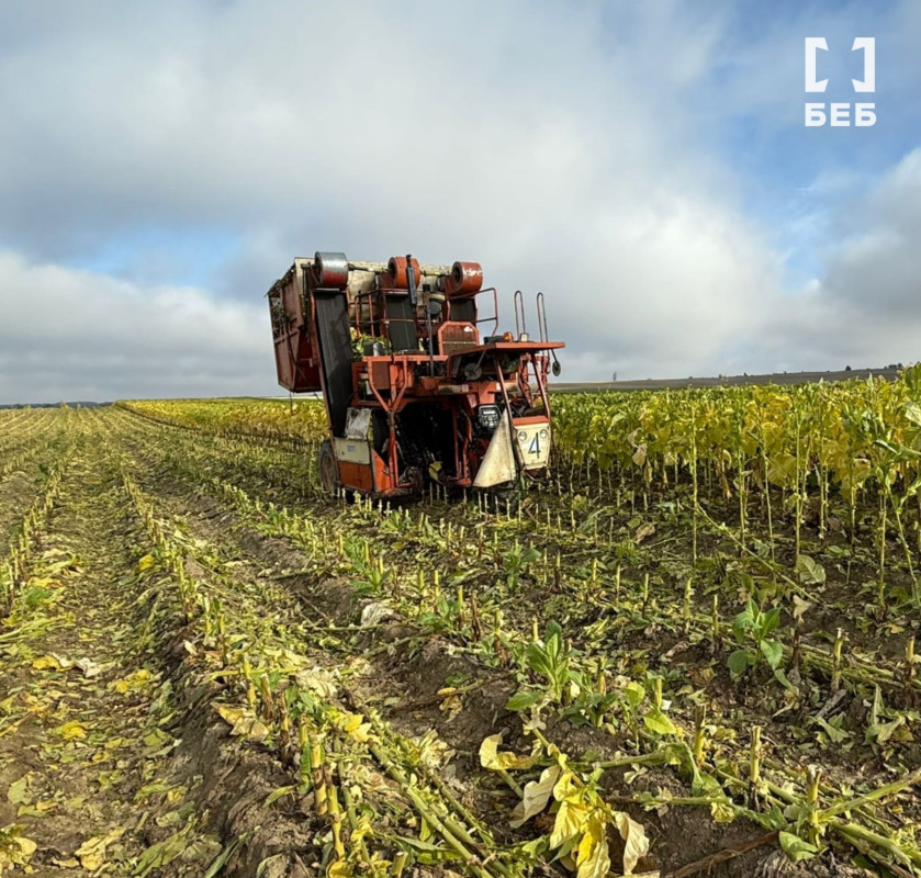 Промислові масштаби й збитки на 5 млн грн: на Волині ліквідували тіньове виробництво тютюну