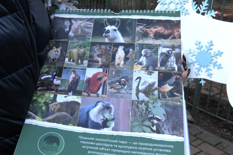 Луцький зоопарк випустив календар на 2024 рік: коли його даруватимуть відвідувачам