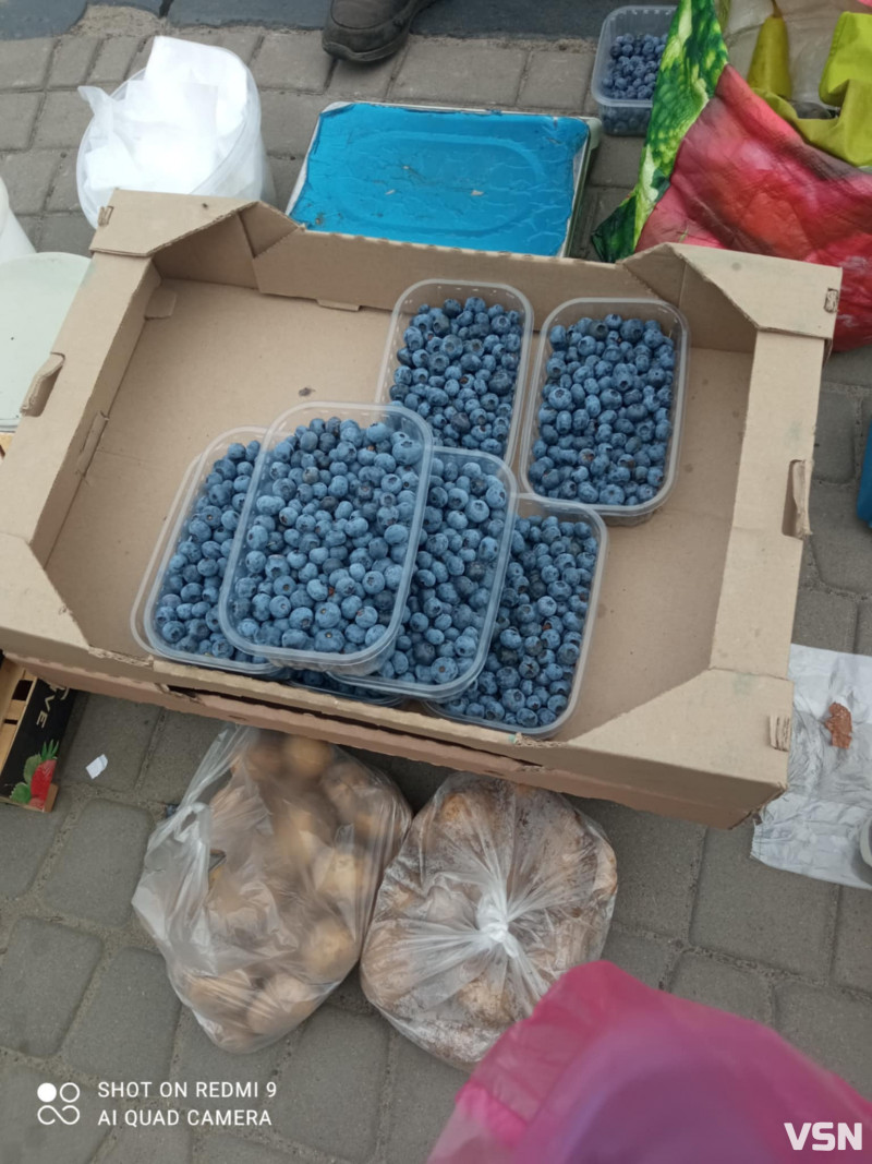 На Волині рекордно впали ціни на лохину: яка вартість ягоди на ринках
