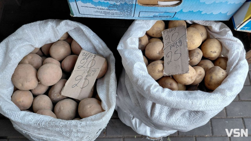 Скільки у Луцьку на ринку коштує картопля?