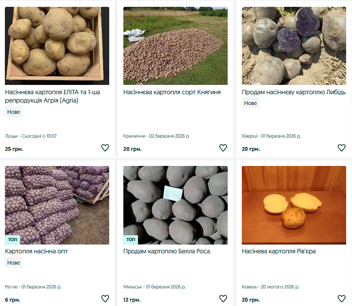 Скільки коштує насіннєва картопля на Волині?