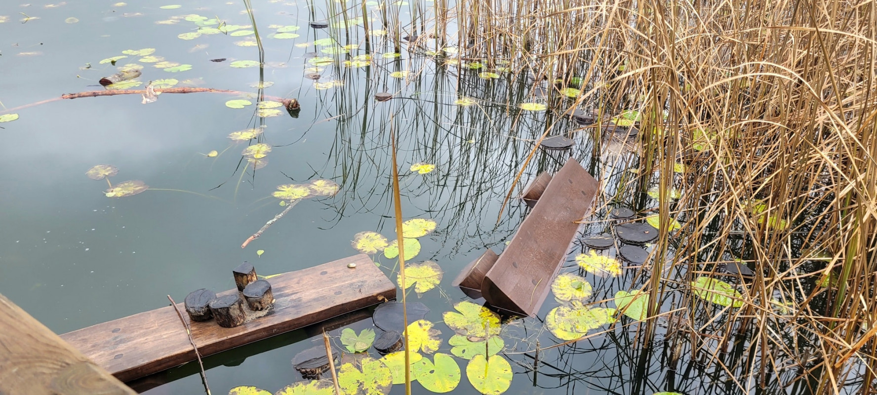 Невідомі понищили екостежку на території волинського нацпарку