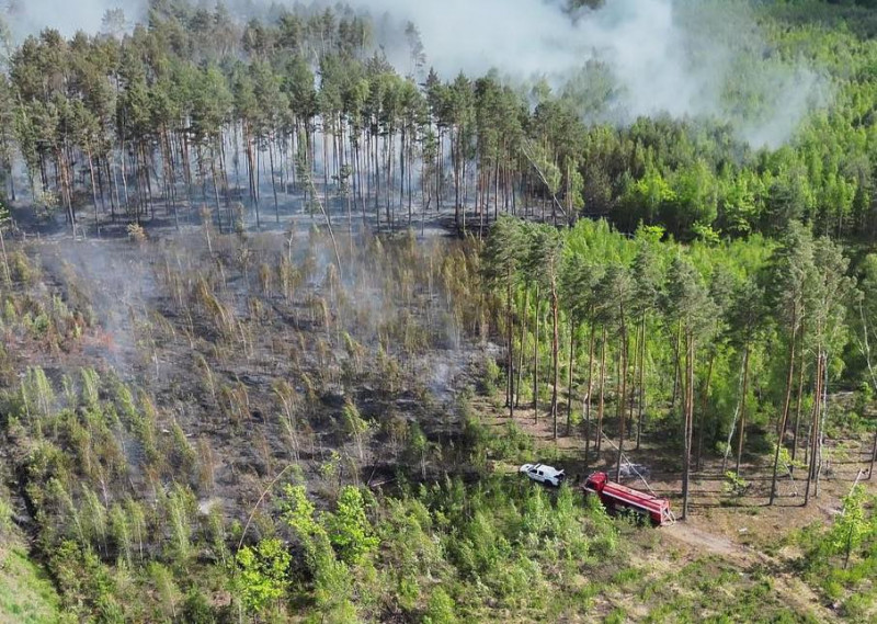 Вогонь охопив близько 5 гектарів: на Волині ліквідовували масштабну лісову пожежу