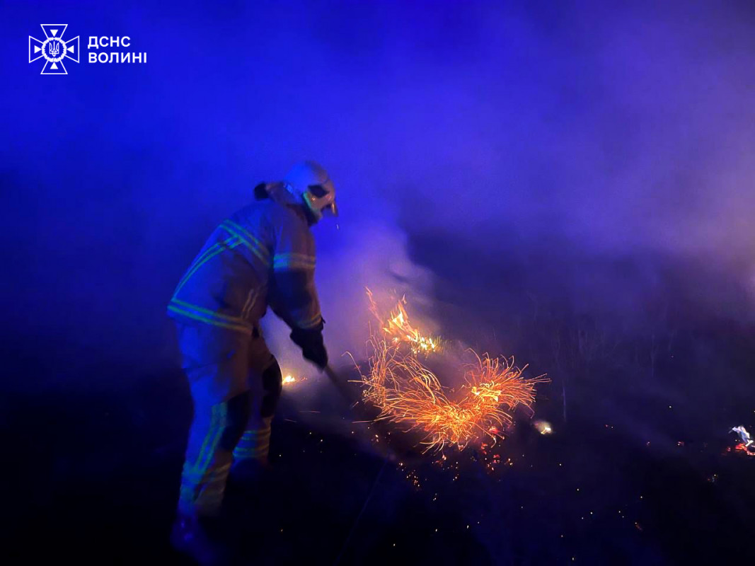 Вогонь підбирався до будинків: за вихідні на Волині вигоріло понад 30 гектарів сухостою