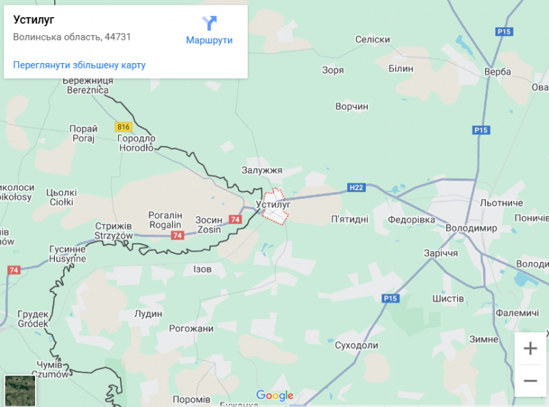 Грибний бум на Волині: де шукати білі, лисички та опеньки