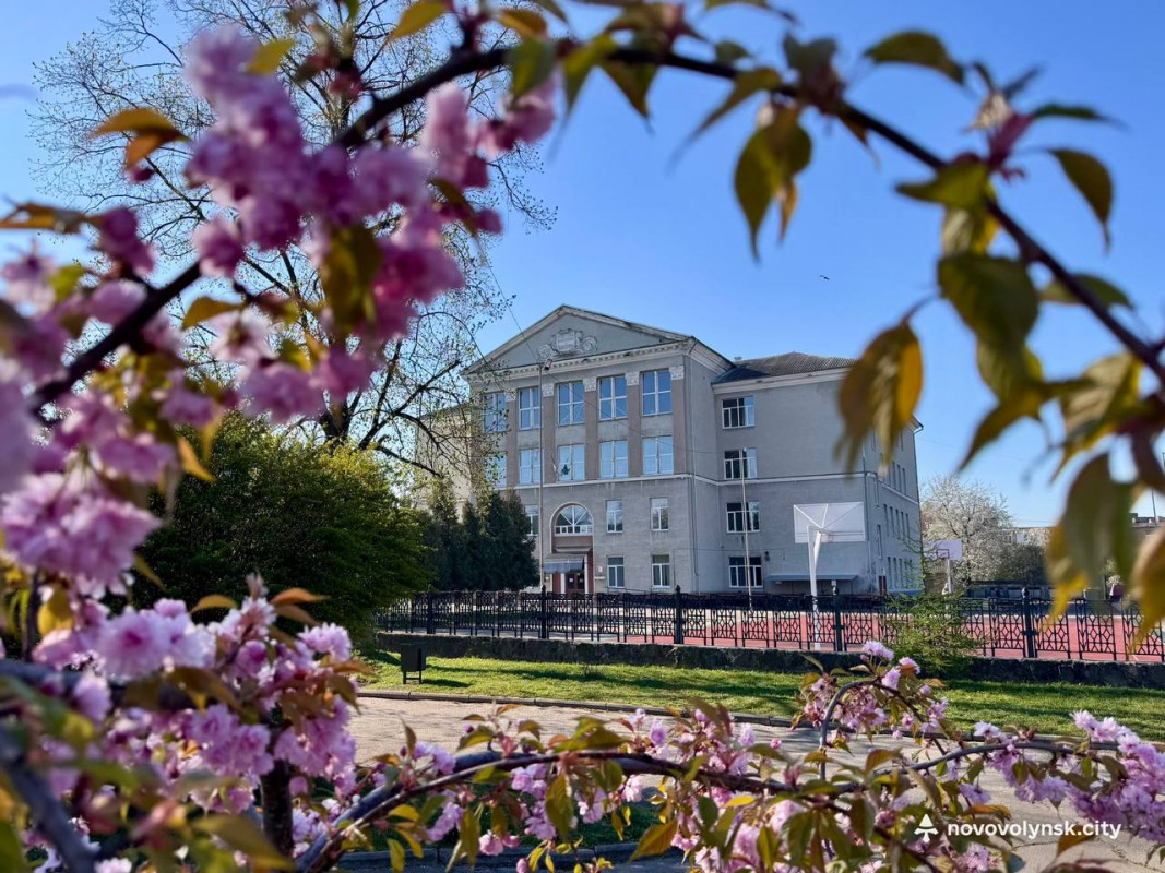У місті на Волині розквітли сакури та мигдаль. Фото