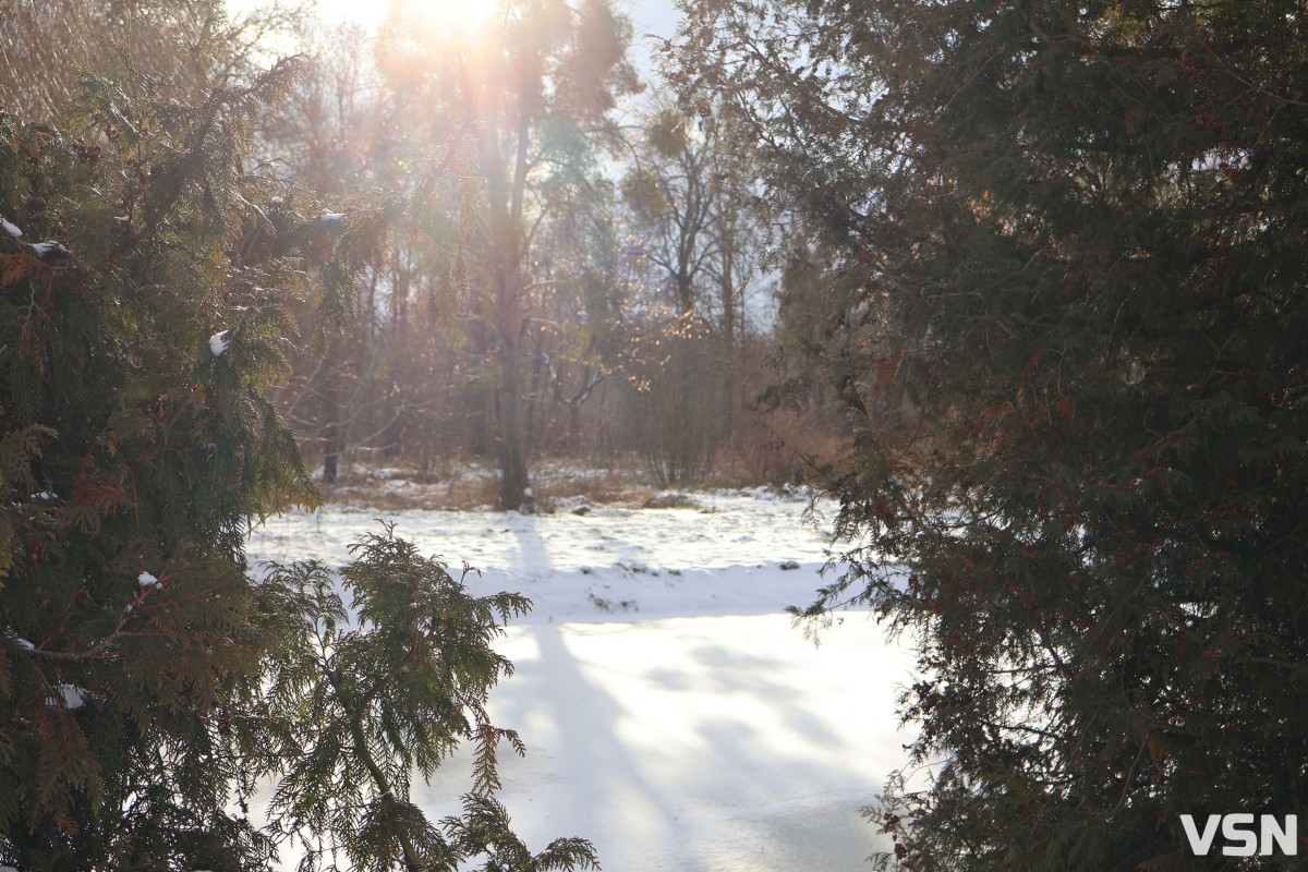 Як виглядає центральний парк у Луцьку у перші дні 2026 року. Фоторепортаж