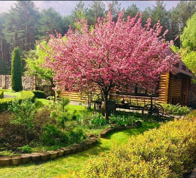 На Волині продають рекреаційний комплекс за 33 мільйони