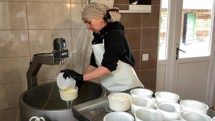 Із вчительки – у сироварки: як волинянка після навчання у Швейцарії створює авторські сири