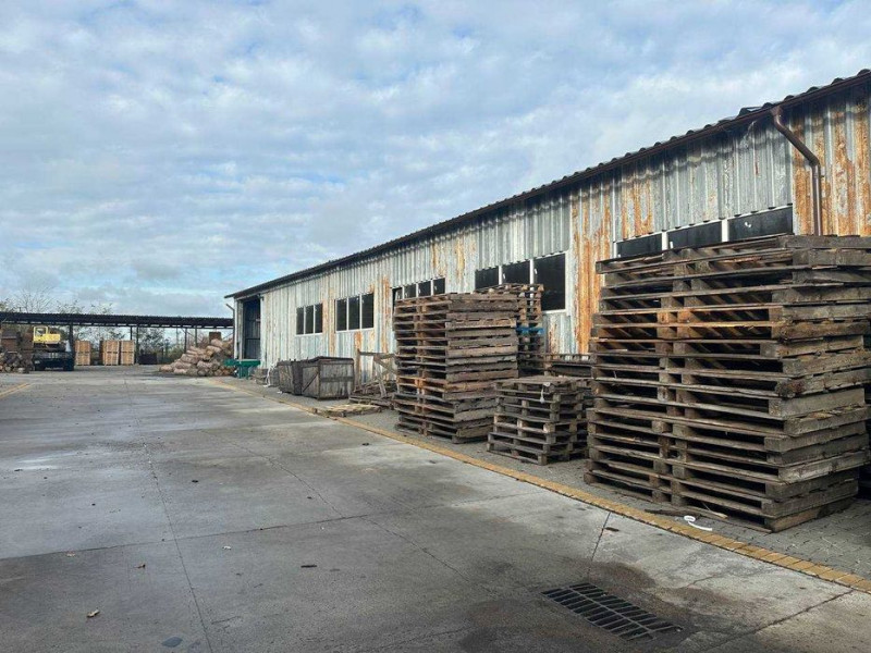 Біля Луцька виставили на продаж деревообробний завод за 28 мільйонів