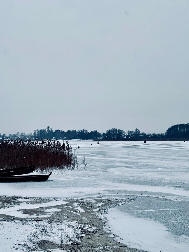 Зимова казка на Шацьких озерах: лід, сніг і тиха велич природи