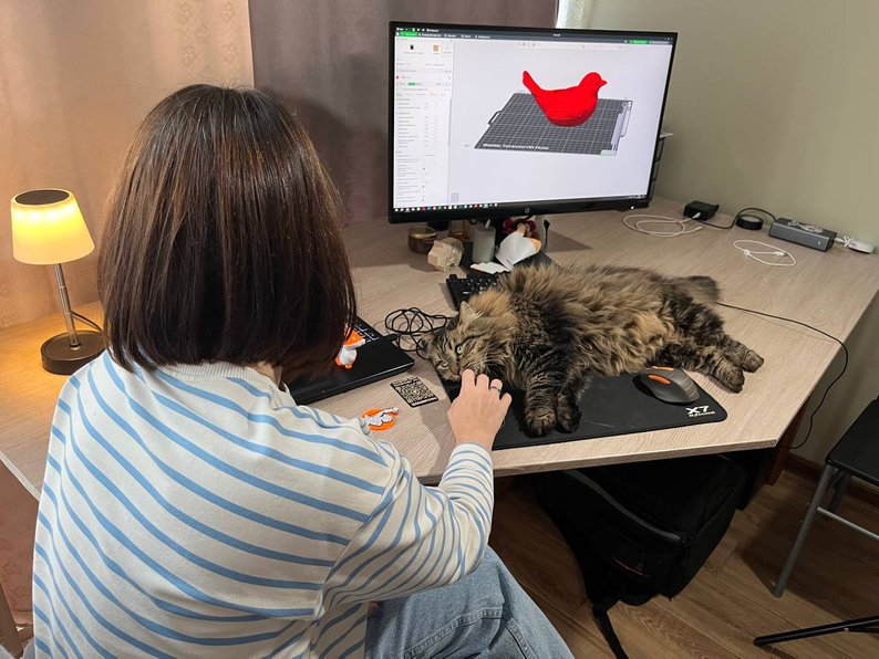 3D-друк без паузи: у Луцьку дизайнерка продовжує справу чоловіка-військового