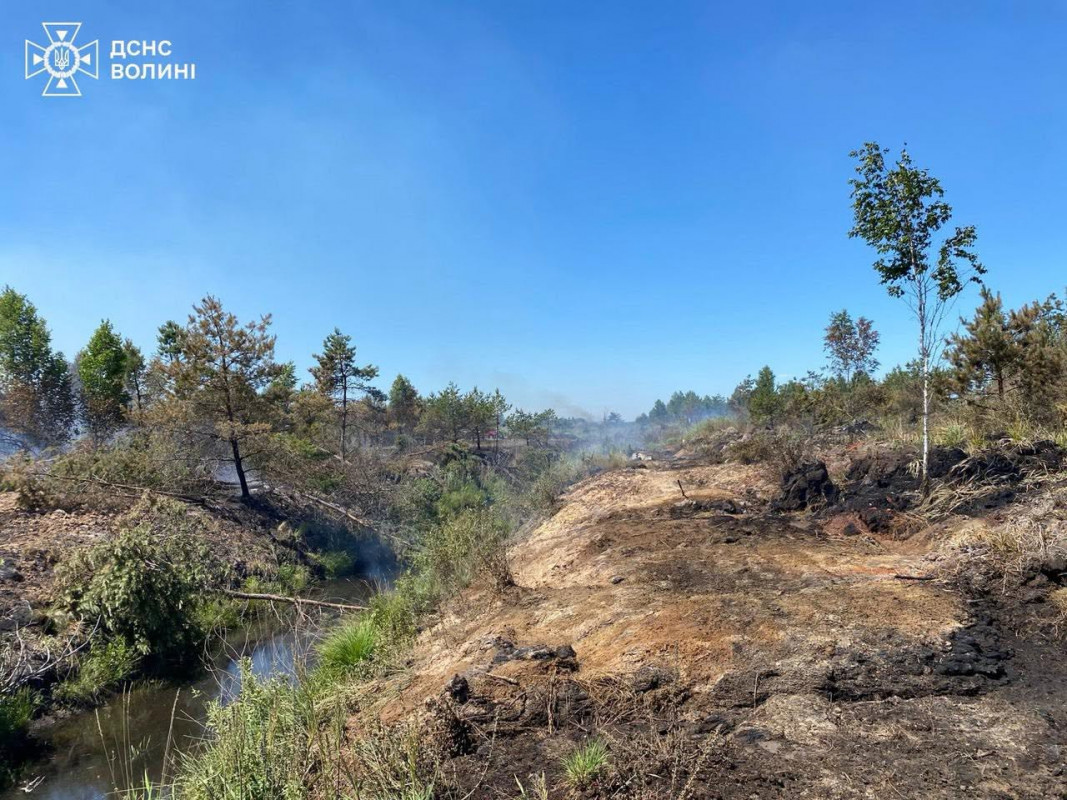 На Волині рятувальники другий день ліквідовують тління торфовища на площі 4 гектари