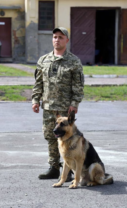 Разом викривали контрабандистів і пройшли Хрещатиком: щемлива історія волинського прикордонника та його пса Таміра