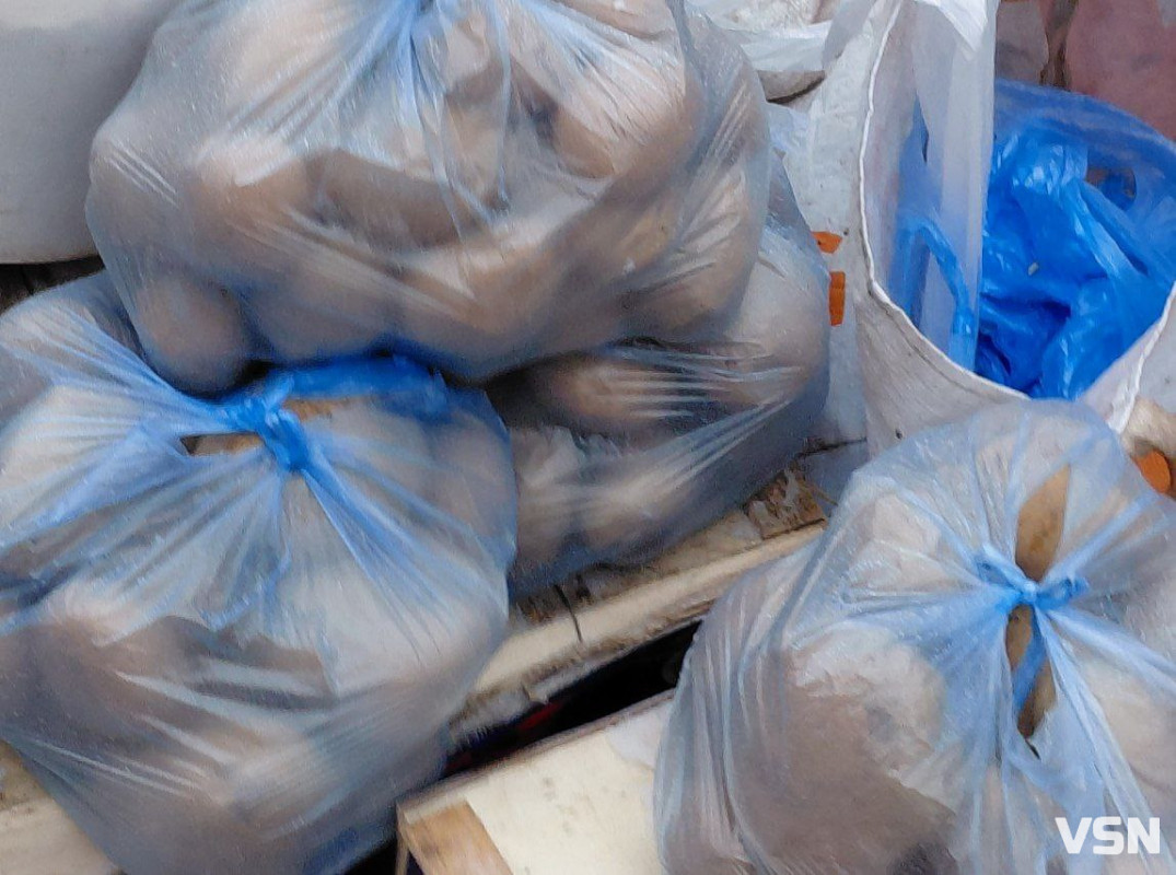 Скільки коштує картопля на ринках у Луцьку: огляд цін